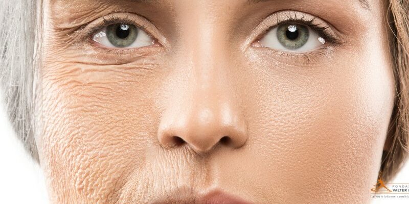 AGE-BIOLOGIQUE-Equilibrium-concept