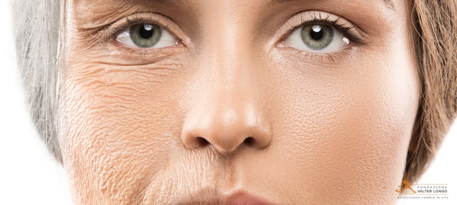 AGE-BIOLOGIQUE-Equilibrium-concept